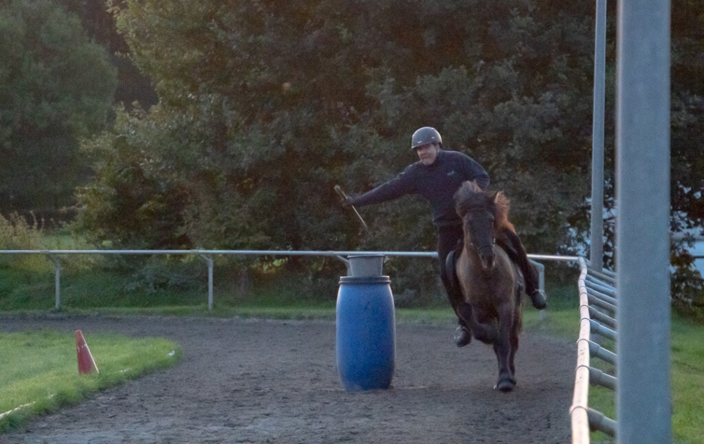 Reiten - Pferdehof Hesta Kykki
