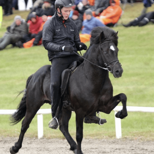 Hringur frá Gunarsstödum